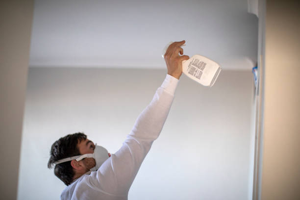 Best Toxic Mold Removal  in Charleston, MS