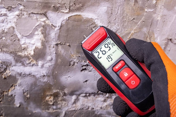 Best Mold Remediation  in Charleston, MS