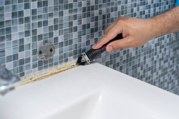 Best Mold Testing and Removal  in Charleston, MS
