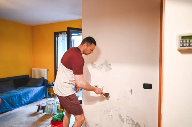 Best Office Mold Removal Services  in Charleston, MS